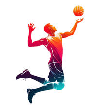 Volleyball
